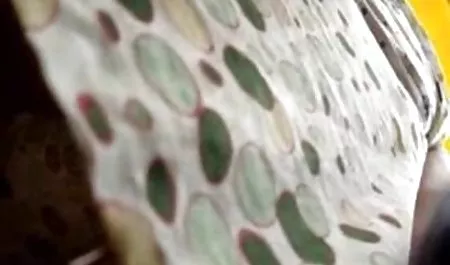 بلوند, مشت کردن فیلم سکسی خشن گروهی