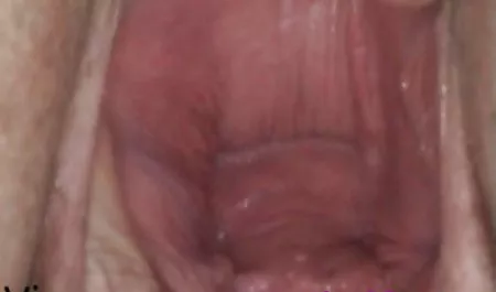 یک سگ فیلم سکس سوپر گروهی است که دشوار است برای مقابله با قرمز بزرگ
