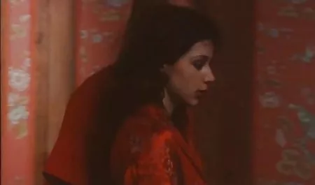 لباس شنای زنانه دوتکه سگسی گروهی