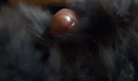 اشلی چاه فیلم سکس دست جمعی در کنار تماس با حلقه