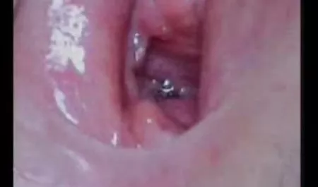 یکپارچهسازی فیلم سکس گروهی شهوانی با سیستمعامل مورد علاقه 2