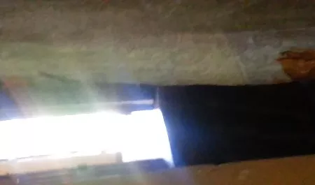 واقعی فیلم سکس گروهی خارجی شبکه محلی