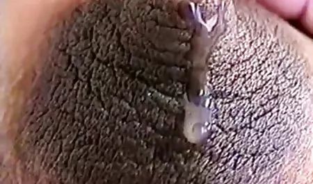 دختر بلوند زیبا چلچله پنج دانلود فیلم سکس زوری گروهی شنبه